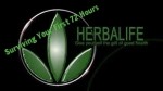 your first 72 hours in Herbalife