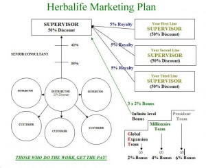 basics of the herbalife marketing plan