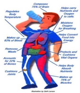 how many glasses of water should I drink a day