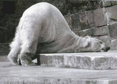 Always exhausted?