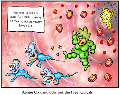 what are antioxidants