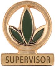 svpin