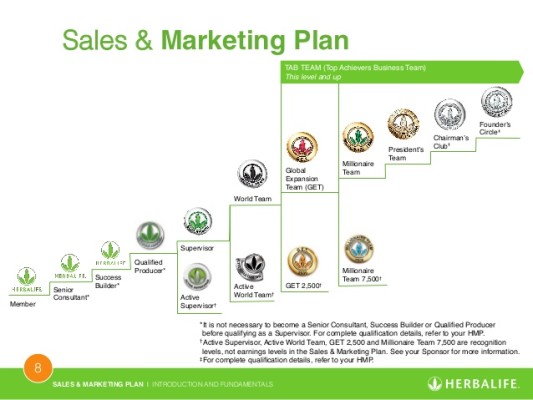 herbalife business plan