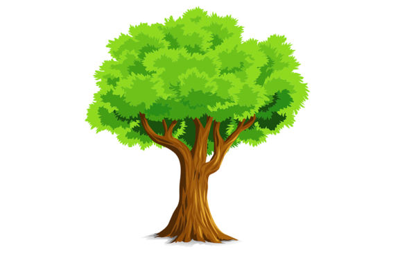 network marketing tree