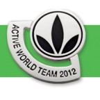 active world team pin