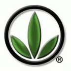 upline Herbalife sponsor